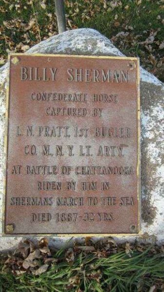 BILLY SHERMAN CIVIL WAR HORSE MEMORIAL