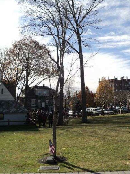 FORT LEE LIBERTY TREE MEMORIAL