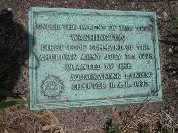 WASHINGTON TREE MEMORIAL