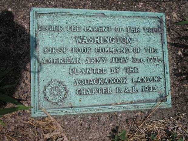 WASHINGTON TREE MEMORIAL