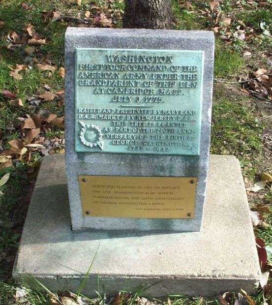 WASHINGTON ELM TREE MEMORIAL PLAQUE