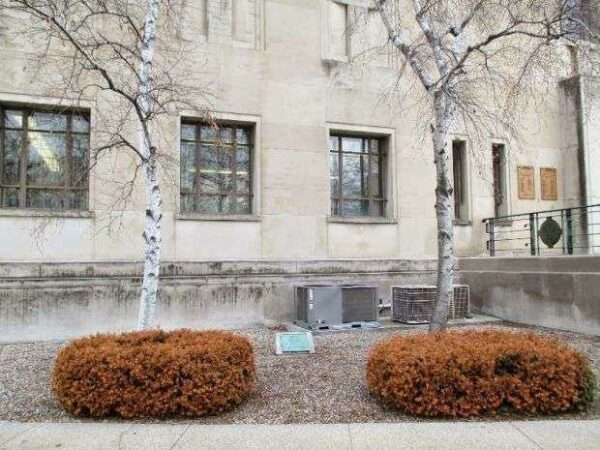 “TREES” IN MEMORY OF JOYCE KILMER MEMORIAL TREES