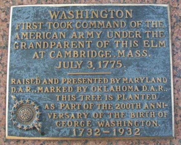 GEORGE WASHINGTON MEMORIAL ELM TREE PLAQUEW