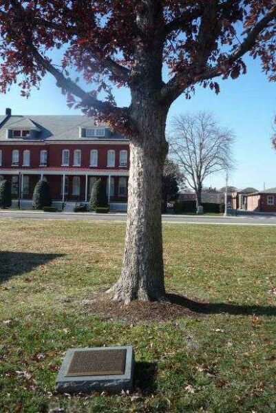THE COMMANDER IN CHIEF’S OAK MEMORIAL TREE