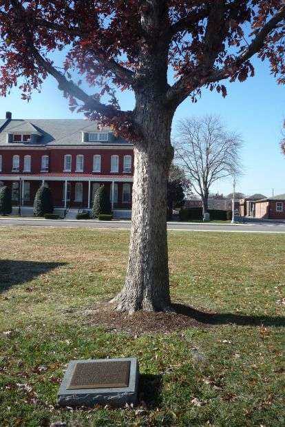 THE COMMANDER IN CHIEF’S OAK MEMORIAL TREE