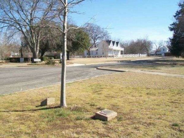TEXAS VETERANS MEMORIAL TREE