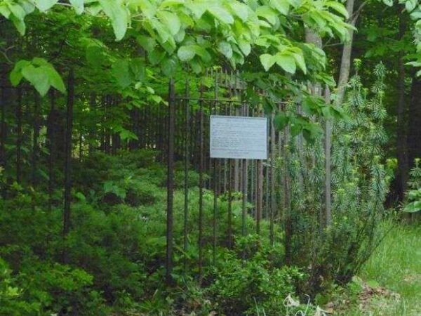 “THE PRESIDENTS TREE” MEMORIAL