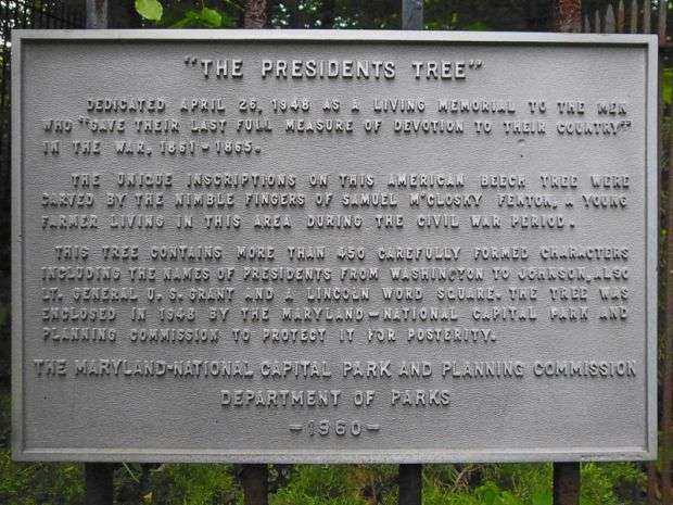 “THE PRESIDENTS TREE” MEMORIAL PLAQUE