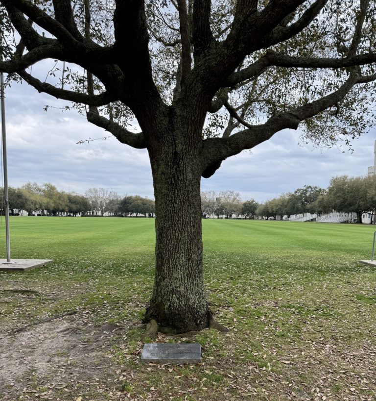 CPT. CHRISTOPHER JAMES KENNY WAR MEMORIAL TREE