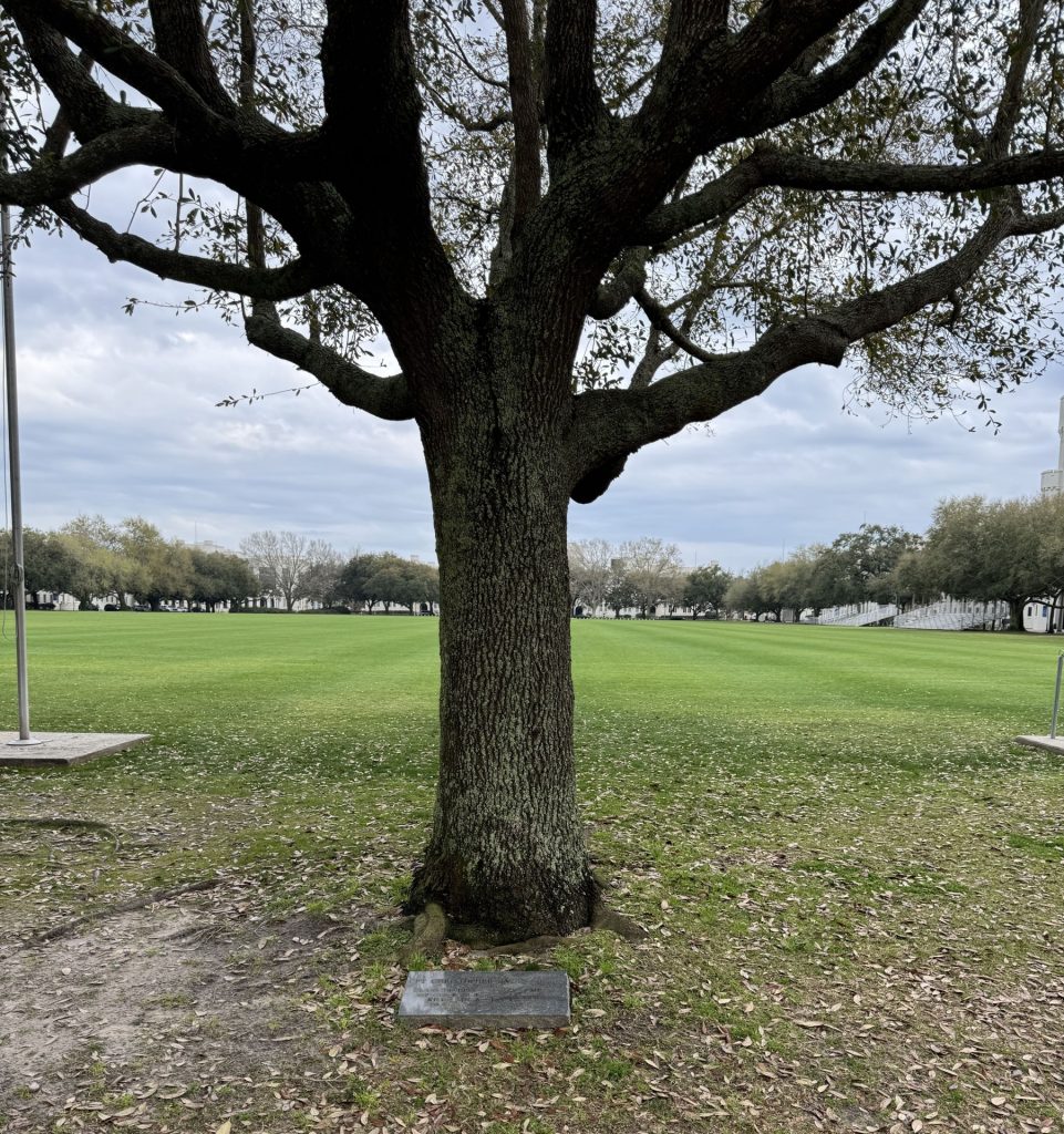 CPT. CHRISTOPHER JAMES KENNY WAR MEMORIAL TREE