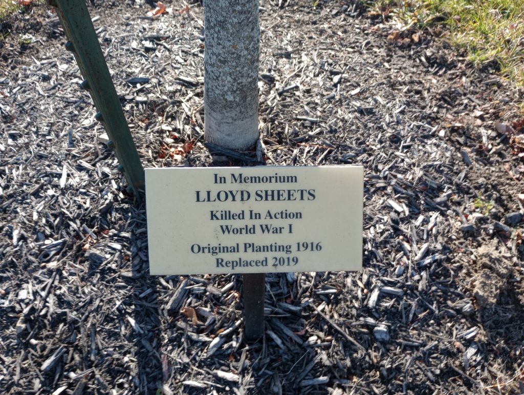 LLOYD SHEETS WAR MEMORIAL TREE PLAQUE