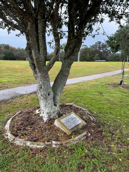 LT. CARL P. HETRICK WAR MEMORIAL TREE