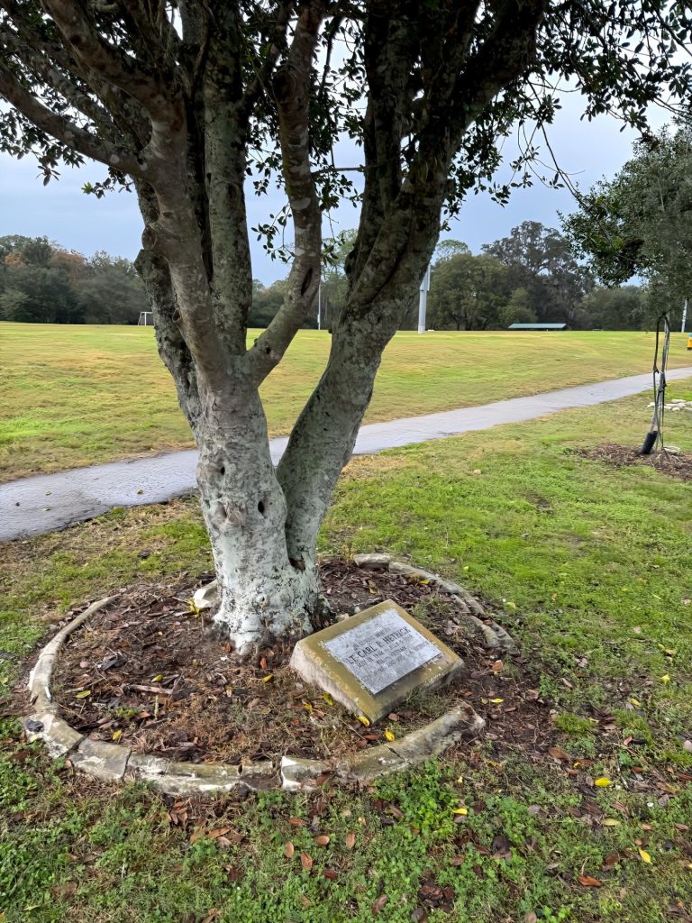 LT. CARL P. HETRICK WAR MEMORIAL TREE