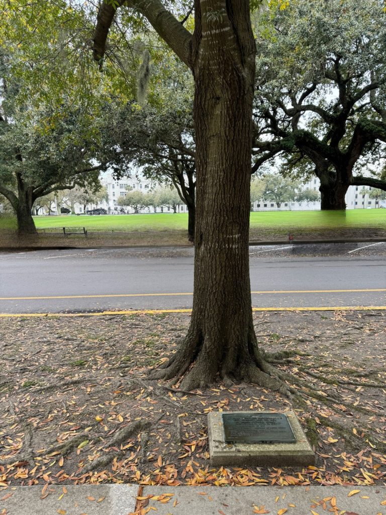 LT. FRANK ELWOOD BLOOMERSHINE AND LT. JAMES FUTRELL EXLEY WAR MEMORIAL TREE