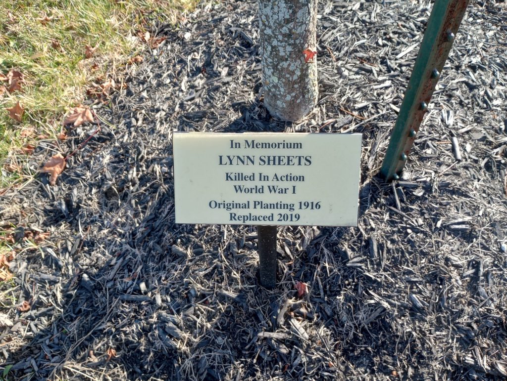 LYNN SHEETS WAR MEMORIAL TREE PLAQUE
