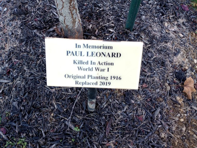 PAUL LEONARD WAR MEMORIAL TREE PLAQUE