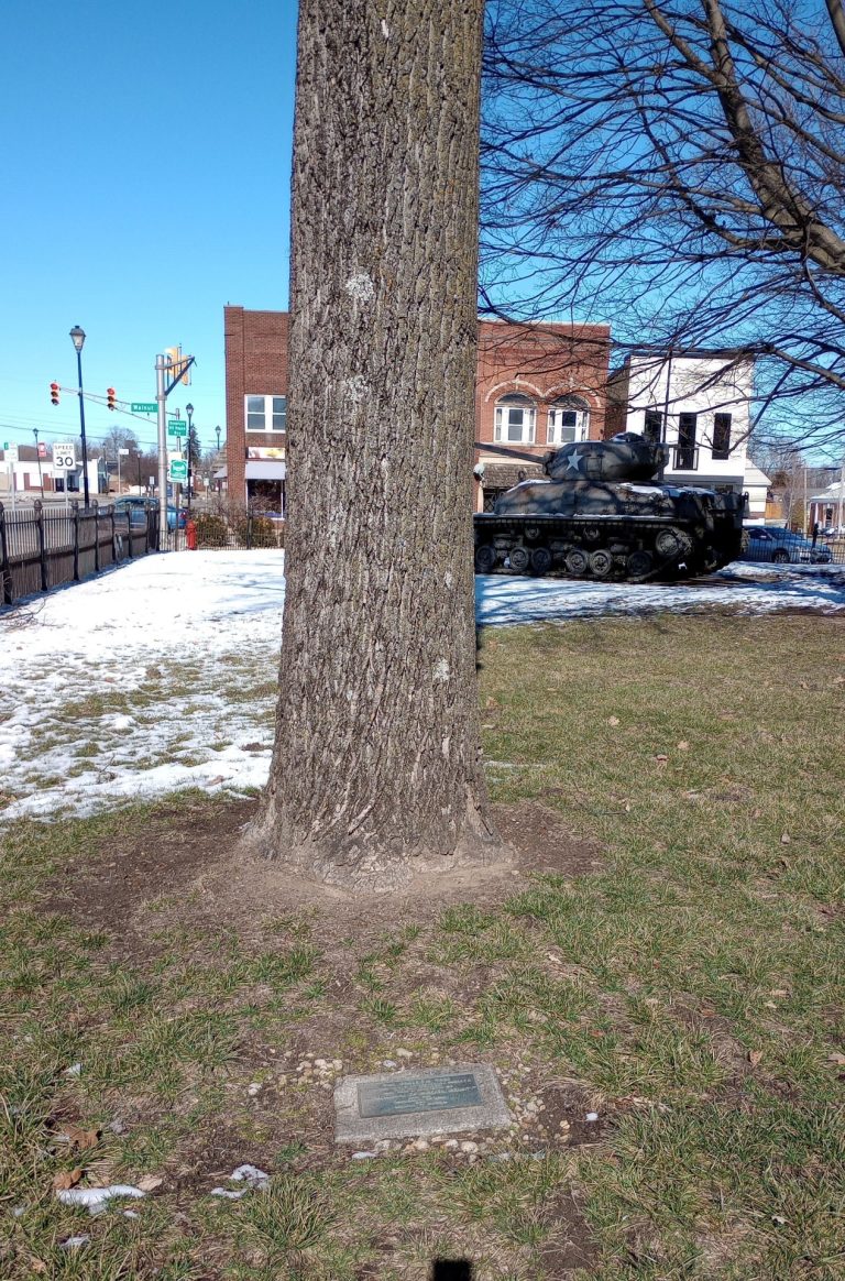 THE FREEDOM TREE ALL POW MIAS OF JACKSON COUNTY MEMORIAL