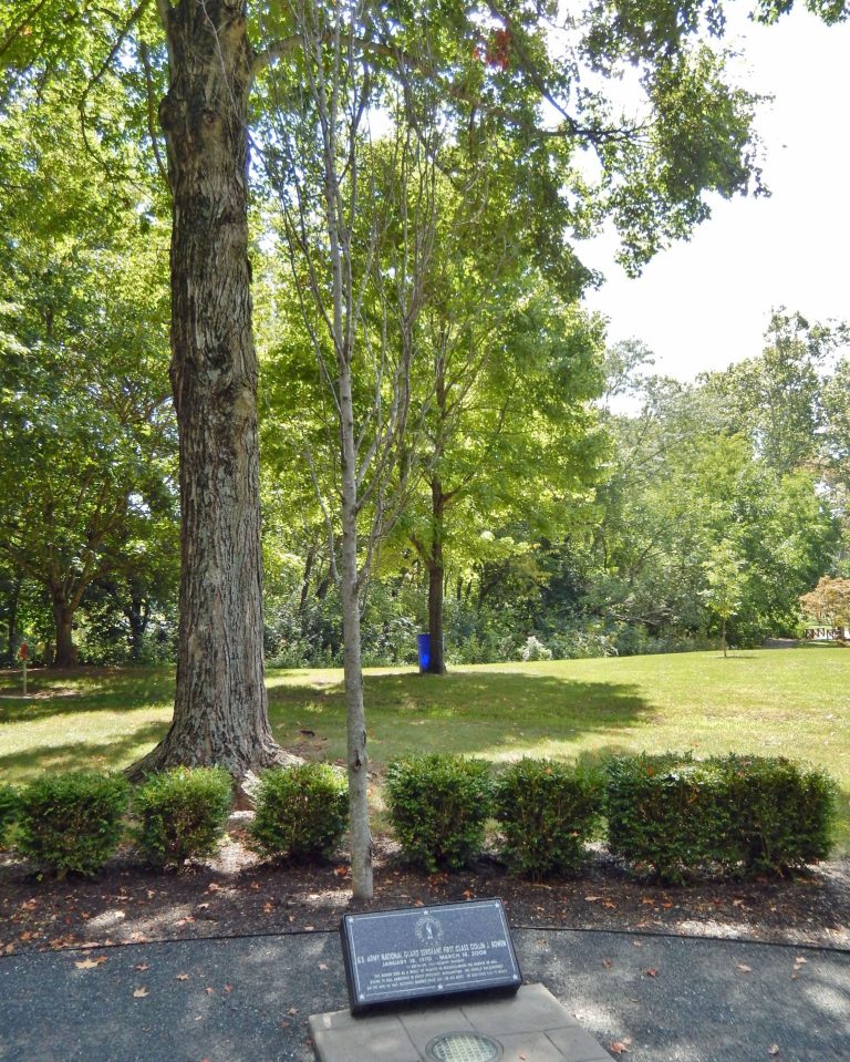 U.S. ARMY NATIONAL GUARD SERGEANT FIRST CLASS COLLIN J. BOWEN WAR MEMORIAL TREE