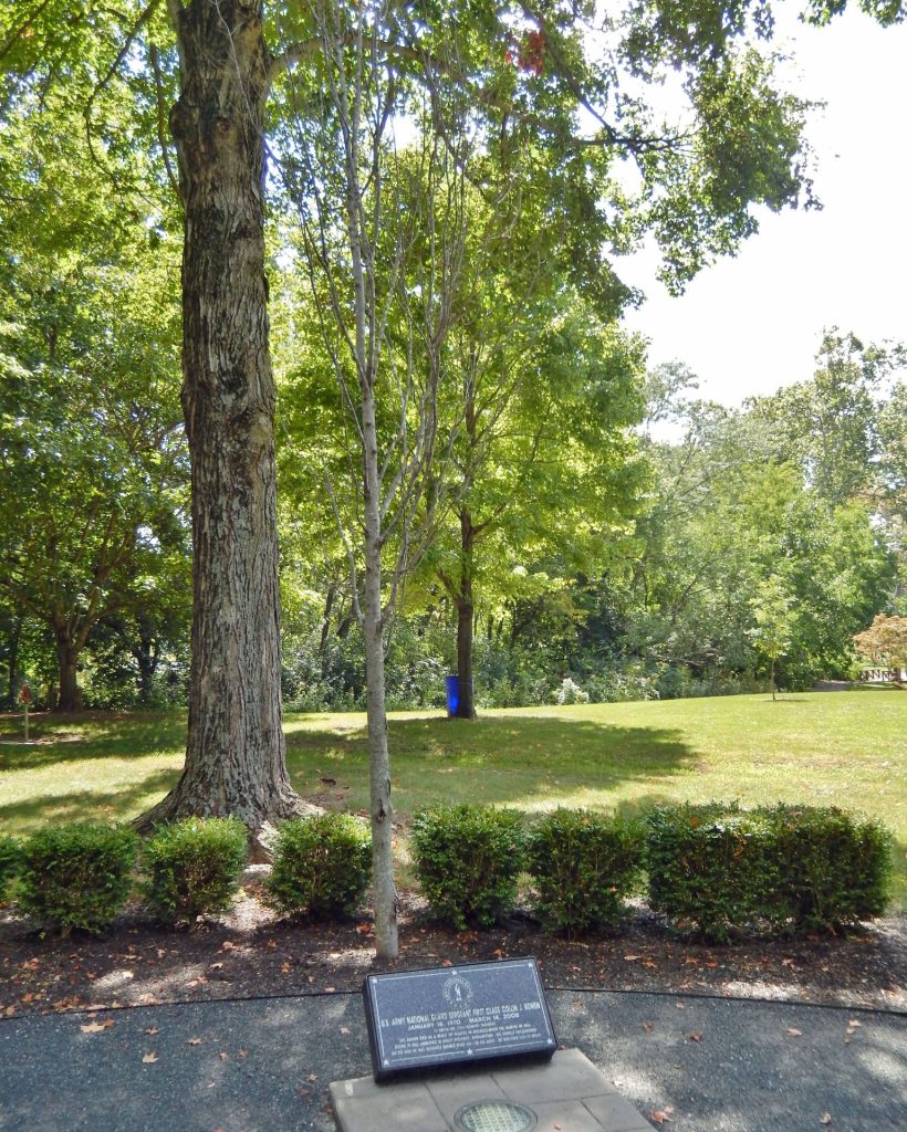 U.S. ARMY NATIONAL GUARD SERGEANT FIRST CLASS COLLIN J. BOWEN WAR MEMORIAL TREE