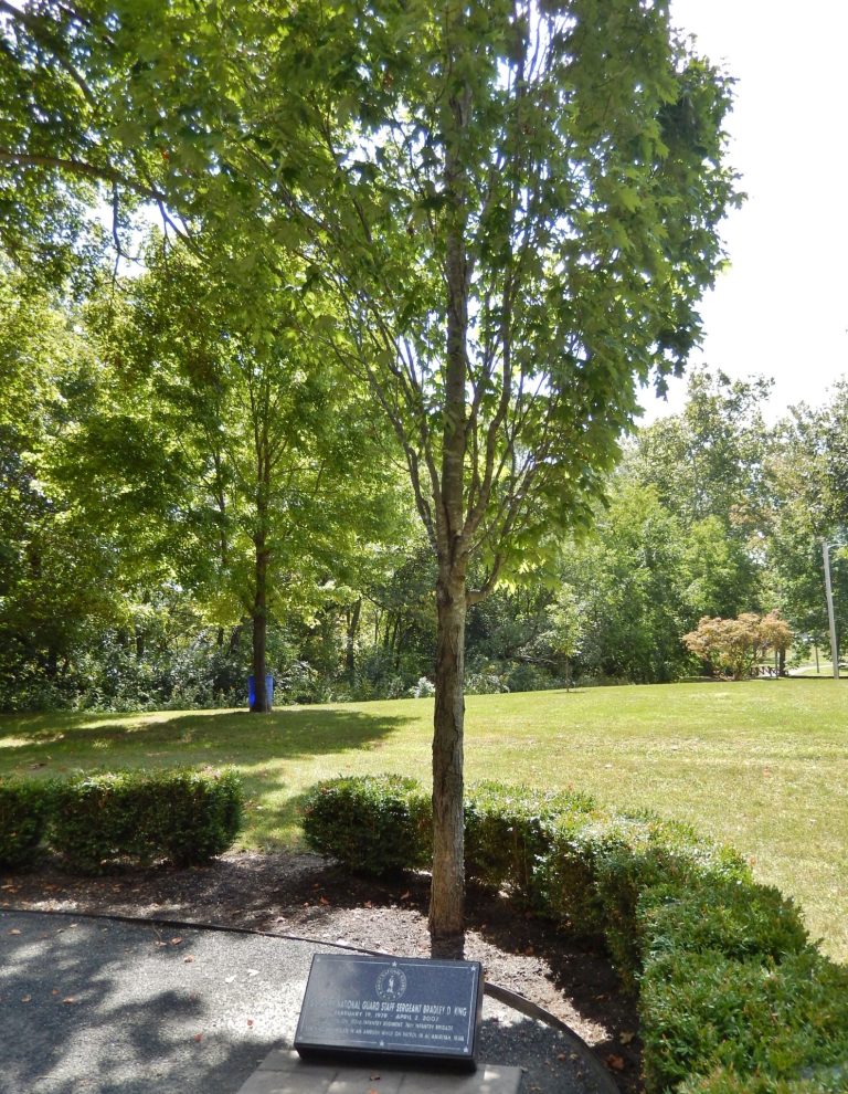 U.S. ARMY NATIONAL GUARD STAFF SERGEANT BRADLEY D. KING WAR MEMORIAL TREE