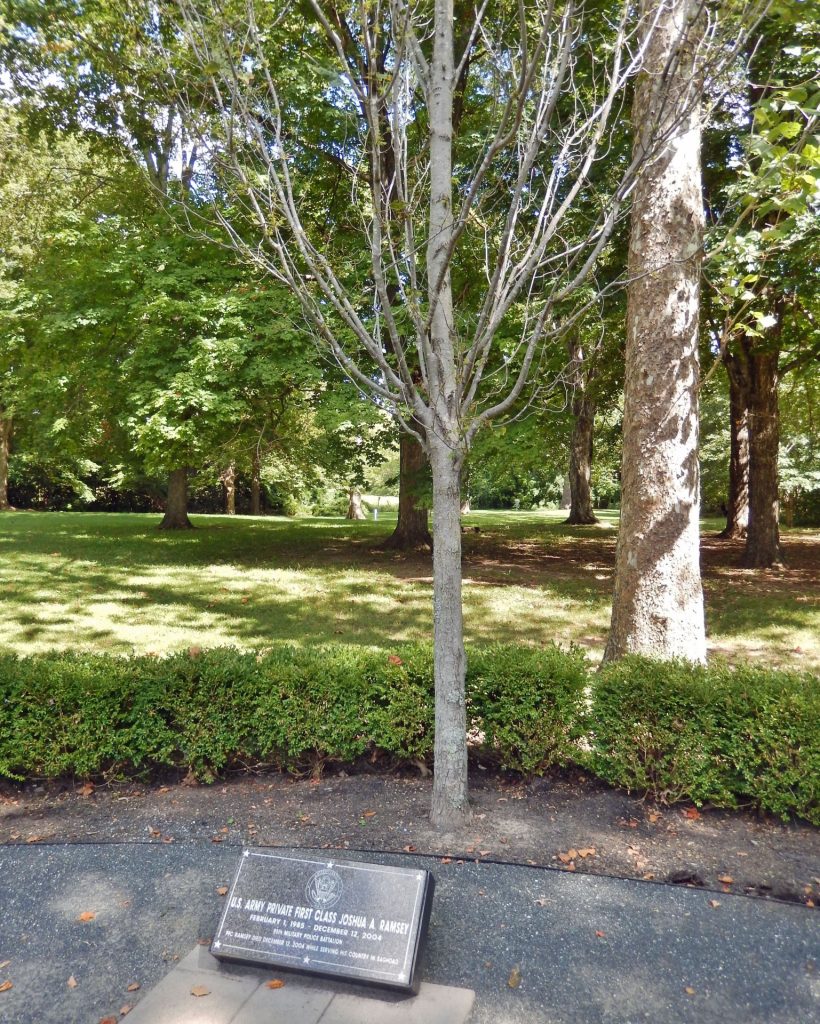 U.S. ARMY PRIVATE FIRST CLASS JOSHUA A. RAMSEY WAR MEMORIAL TREE