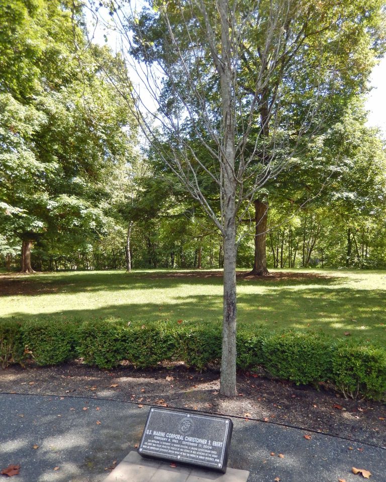 U.S. MARINE CORPORAL CHRISTOPHER S. EBERT WAR MEMORIAL TREE