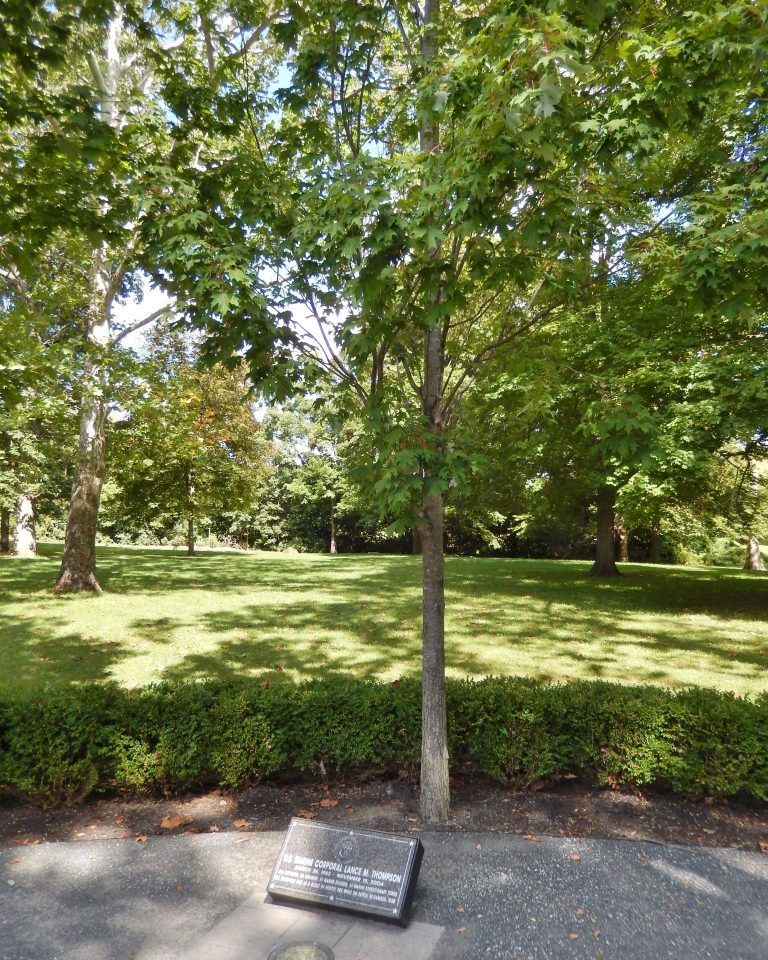 U.S. MARINE CORPORAL LANCE M. THOMPSON WAR MEMORIAL TREE