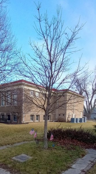 VIETNAM WAR MEMORIAL TREE