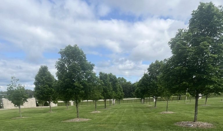 COLLEGE OF THE OZARKS VETERANS GROVE MEMORIAL