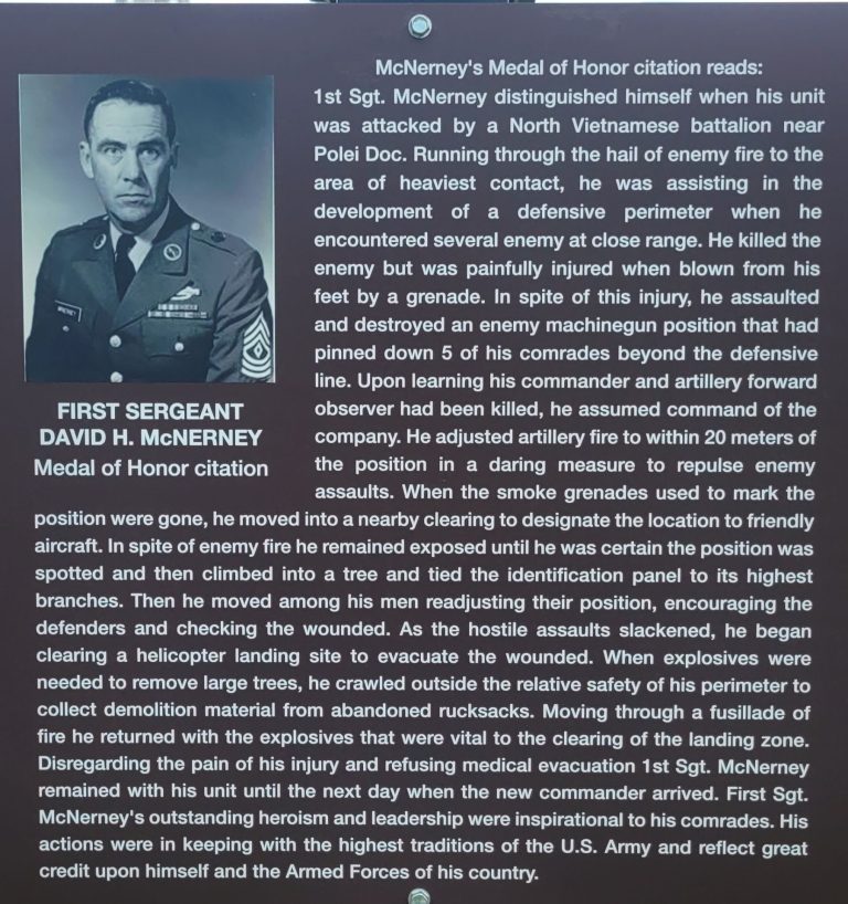 FIRST SERGEANT DAVID H. MCNERNEY MEDAL OF HONOR WAR MEMORIAL PLAQUE