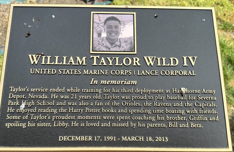 GOLD STAR FAMILY MEMORIAL GAZEBO PLAQUE D