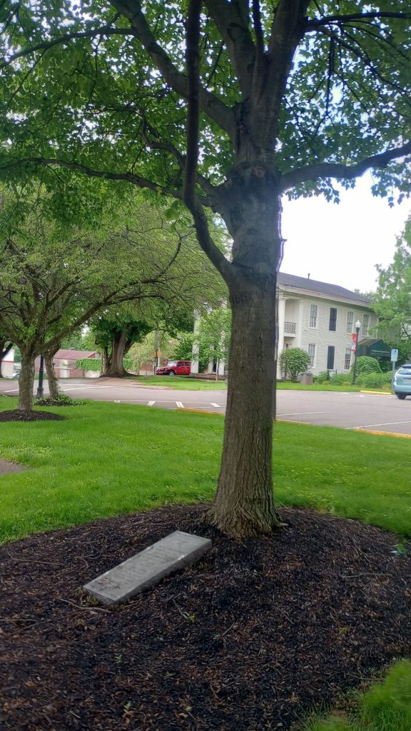 LICKING COUNTY WAR OF 1812 MEMORIAL TREE