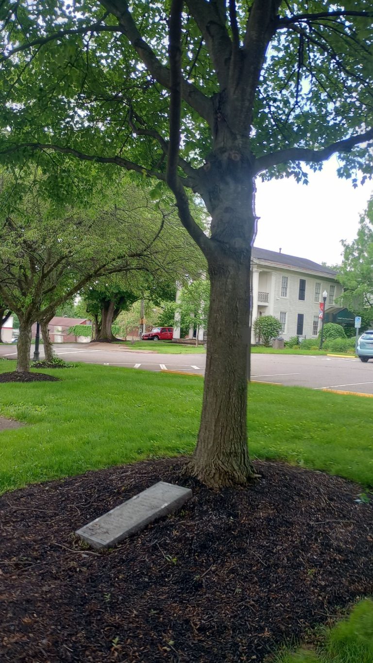 LICKING COUNTY WAR OF 1812 MEMORIAL TREE