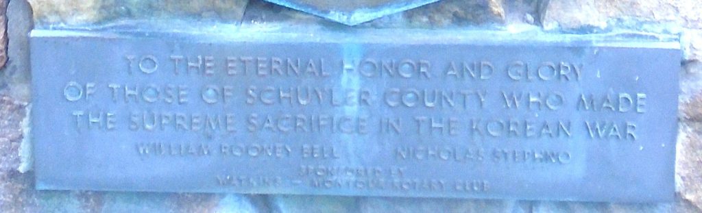 SCHUYLER COUNTY GREAT WORLD WARS MEMORIAL PLAQUE