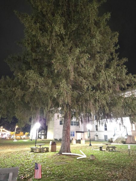 GEORGE WASHINGTON BI-CENTENNIAL MEMORIAL TREE