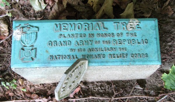 MEMORIAL TREE IN HONOR OF THE GRAND ARMY OF THE REPUBLIC STONE