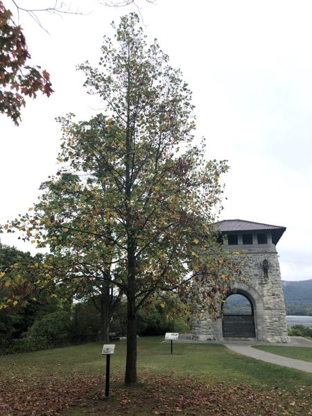 LIBERTY TREE REVOLUTIONARY WAR MEMORIAL