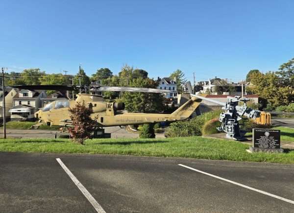 POST 701 MEMORIAL TREES PLANTED IN MEMORY OF WAR MEMORIAL