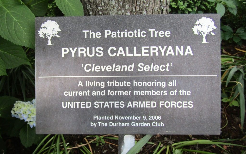 THE PATRIOTIC TREE PYRUS CALLERYANA VETERANS MEMORIAL PLAQUE