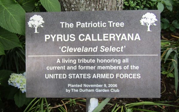THE PATRIOTIC TREE PYRUS CALLERYANA VETERANS MEMORIAL PLAQUE