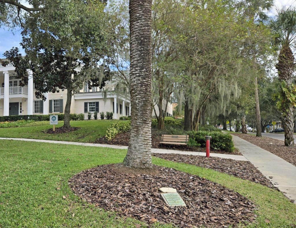 WALTER D. PATTON SPANISH WAR VETERANS MEMORIAL TREE