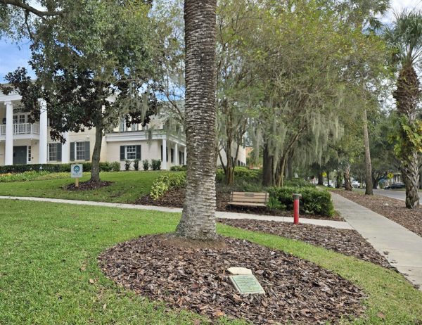 WALTER D. PATTON SPANISH WAR VETERANS MEMORIAL TREE