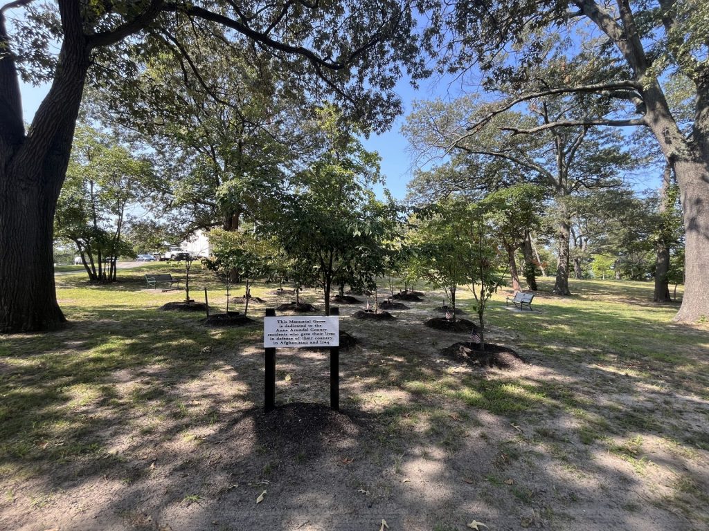ANNE ARUNDEL COUNTY MEMORIAL GROVE