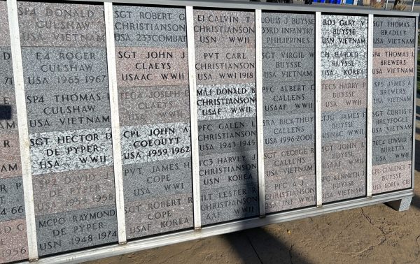 MINNEOTA-GHENT-TAUNTON-VETERANS BRICKS SECTION D