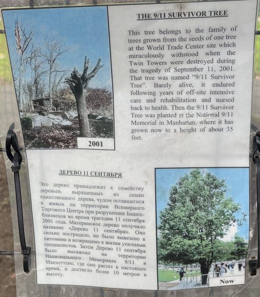 THE 9/11 SURVIVOR TREE MEMORIAL PLAQUE