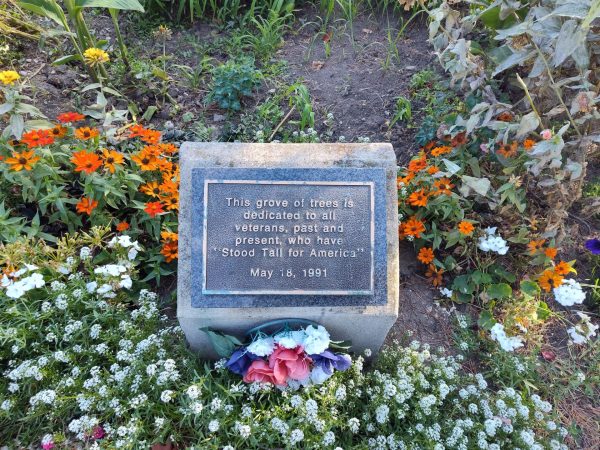 TOLEDO VETERANS MEMORIAL TREE GROVE PLAQUE