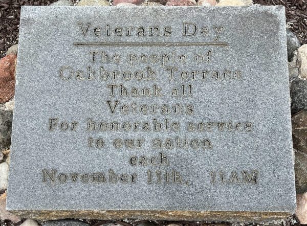 VETERANS DAY MEMORIAL STONE