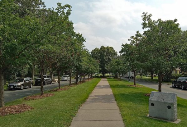 AMERICAN LEGION POST NO. 168 AND AUXILIARY MEMORIAL TREES