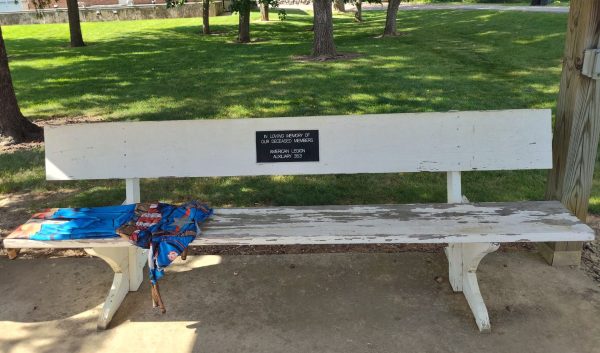 AMERICAN LEGION POST AUXILIARY 353 WAR MEMORIAL BENCH