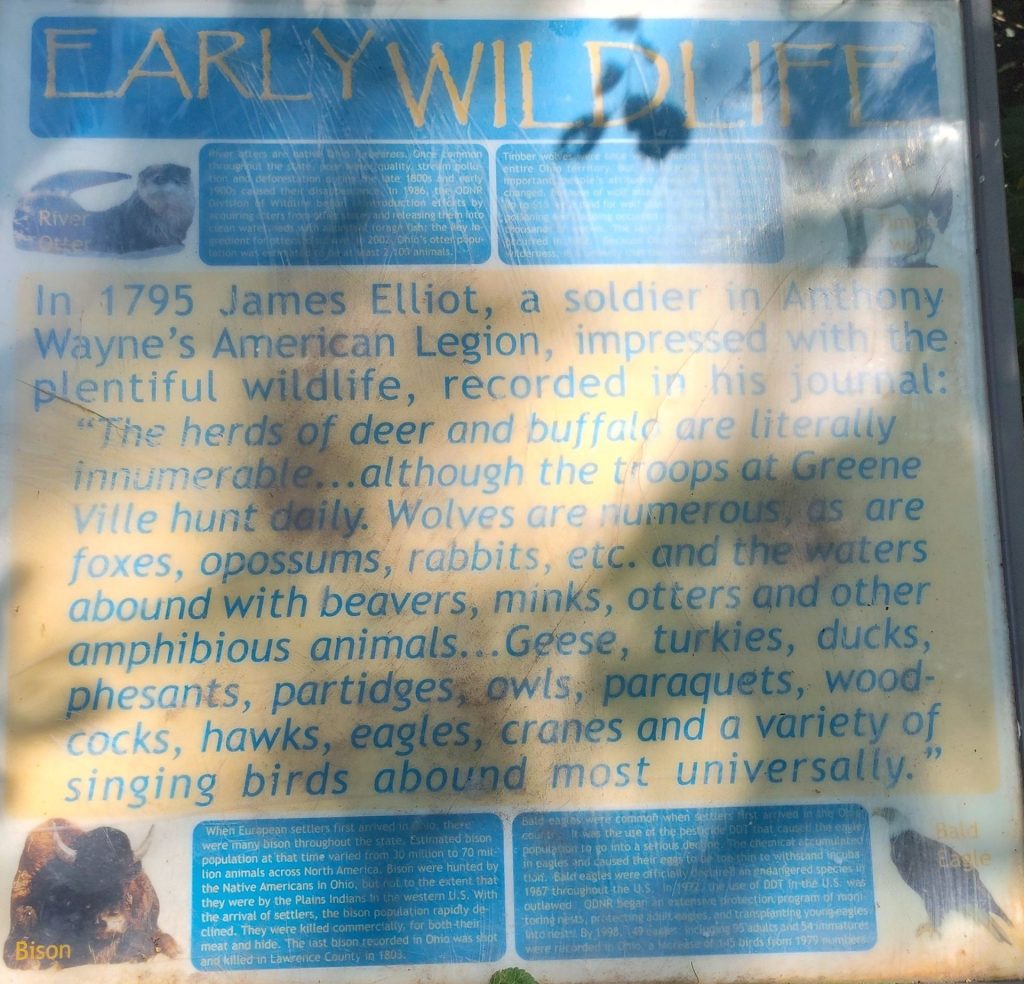 EARLY WILDLIFE MEMORIAL PANEL